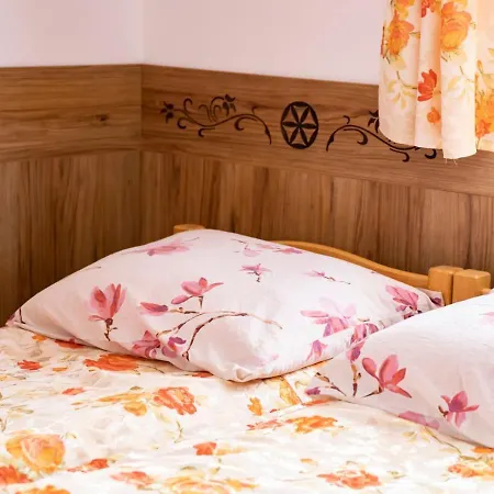 Bed and breakfast Dw Maria 2 *